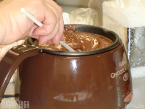 Wilton Cake Pops 6