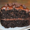 chocolate chocolate chip cake slice