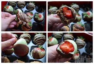 Fannie May Berries Favorites Collage