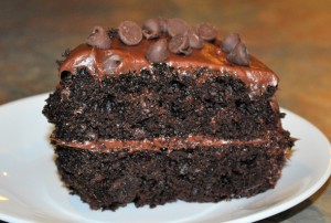 chocolate chocolate chip cake slice