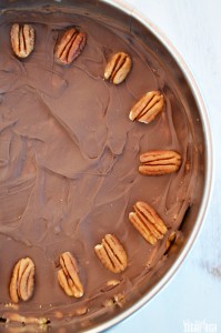 Peanut Butter and Chocolate Cookie Pie